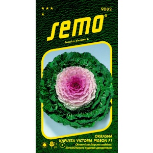 Kapusta okrasná VICTORIA PIGEON F1