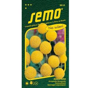 Kraspédie BILLY BUTTONS