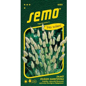 Zaječí ocásek sametovka