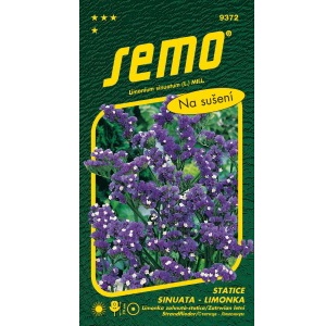 Statice sinuata limonka DARK BLUE