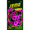 Petunie PURPLE VELVET F1