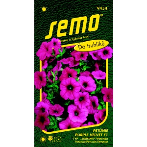 Petunie PURPLE VELVET F1