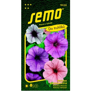 Petunie SMĚS S ORCHID HVĚZDOU F1