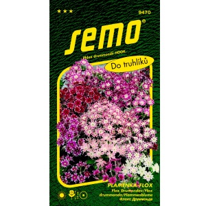 Plaménka Floxy phlox CUSPIcatalog SMĚS