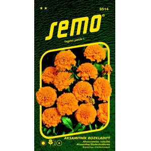 Aksamitník rozkladitý PETIT ORANŽOVÝ