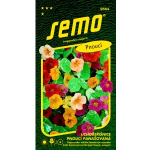 Lichořeřišnice větší OUT OF AFRICA