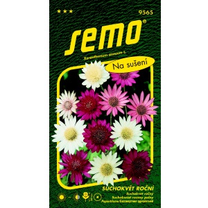 Suchokvět roční SMĚS