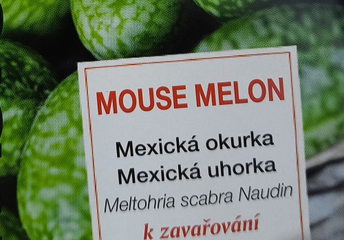 Myší meloun