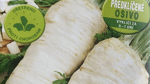 Předklíčená petržel SEMO