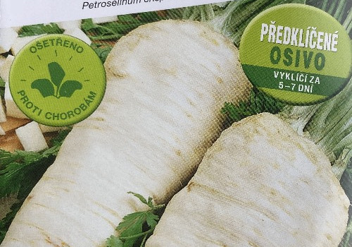 Předklíčená petržel SEMO