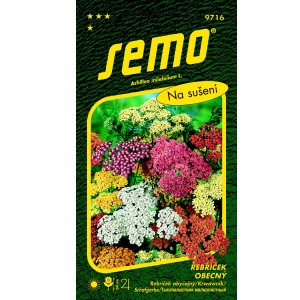 Řebříček obecný SUMMER PASTELS