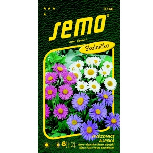 Hvězdnice alpská SMĚS BAREV
