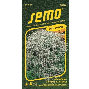 Suchobýl tatarský BÍLÝ