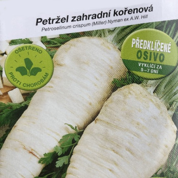 Předklíčená petržel Orbis EXPIRACE PRO ROK 2026  od 30.6.2026 skladem