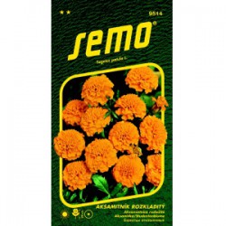 Aksamitník rozkladitý PETIT ORANŽOVÝ